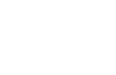 Visa white png.png